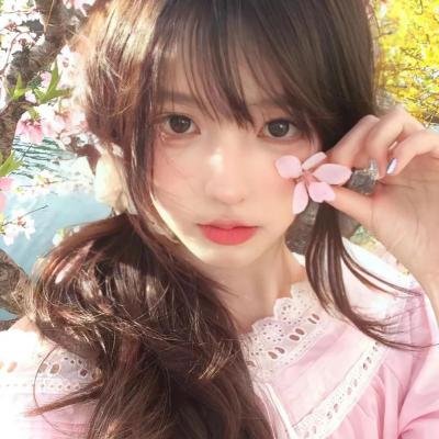 赛车生涯