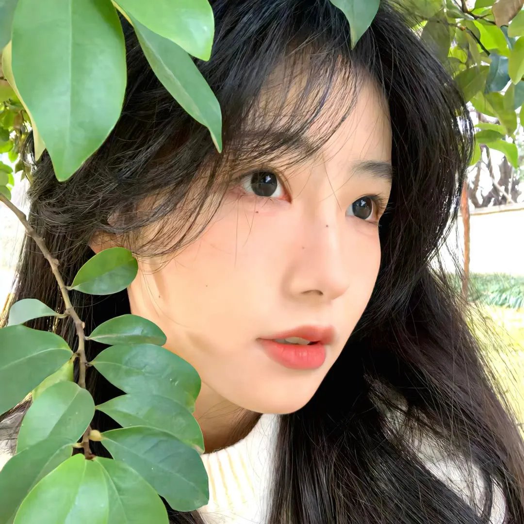 多情侠女